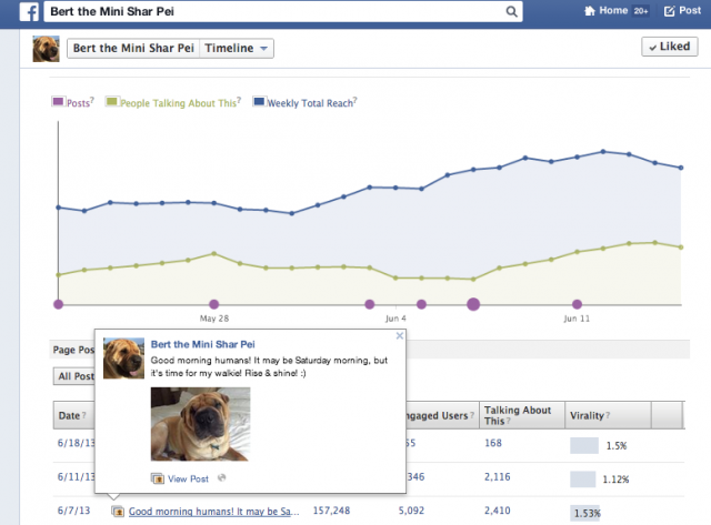 social media marketing agency india